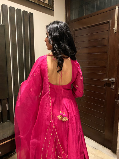 Raani Pink Anarkali
