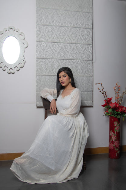 Off White Silk Zari Stripes Gown